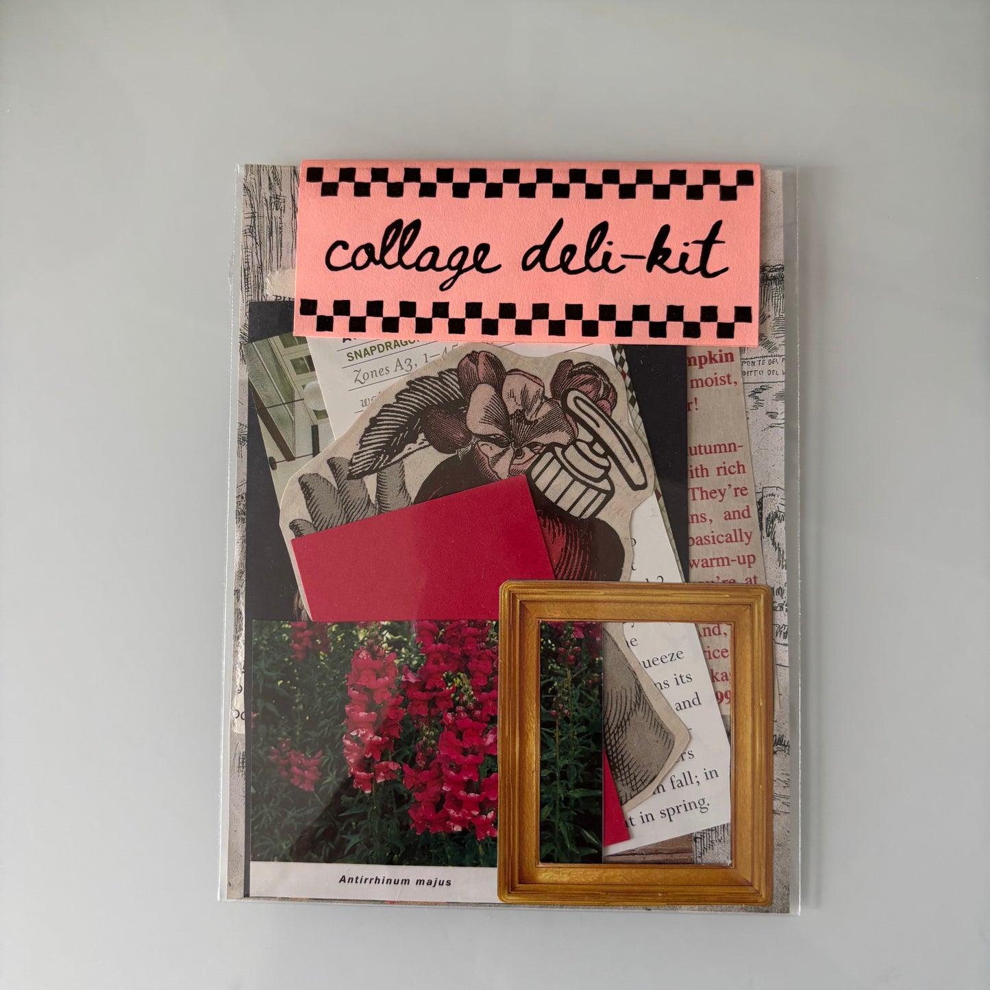 Collage Deli-Kit