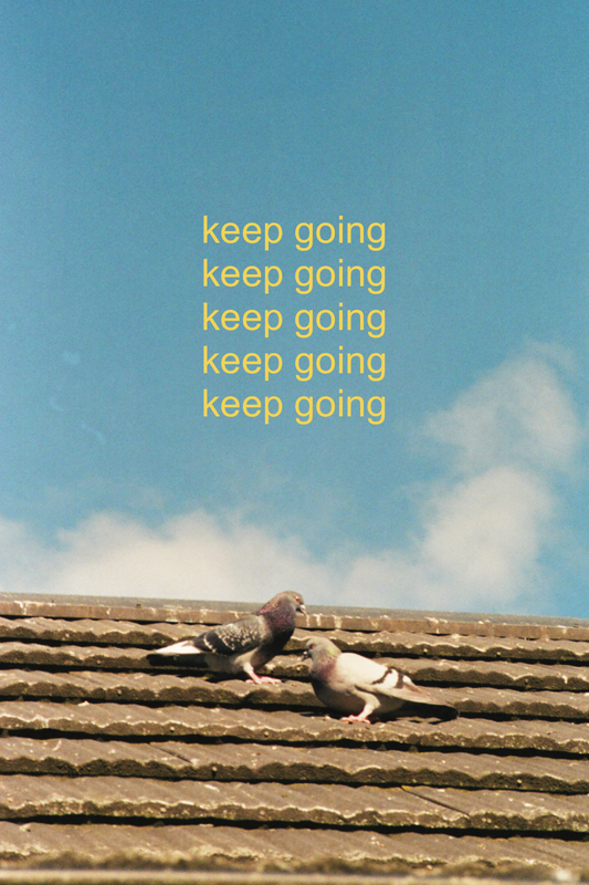keep going pigeons print