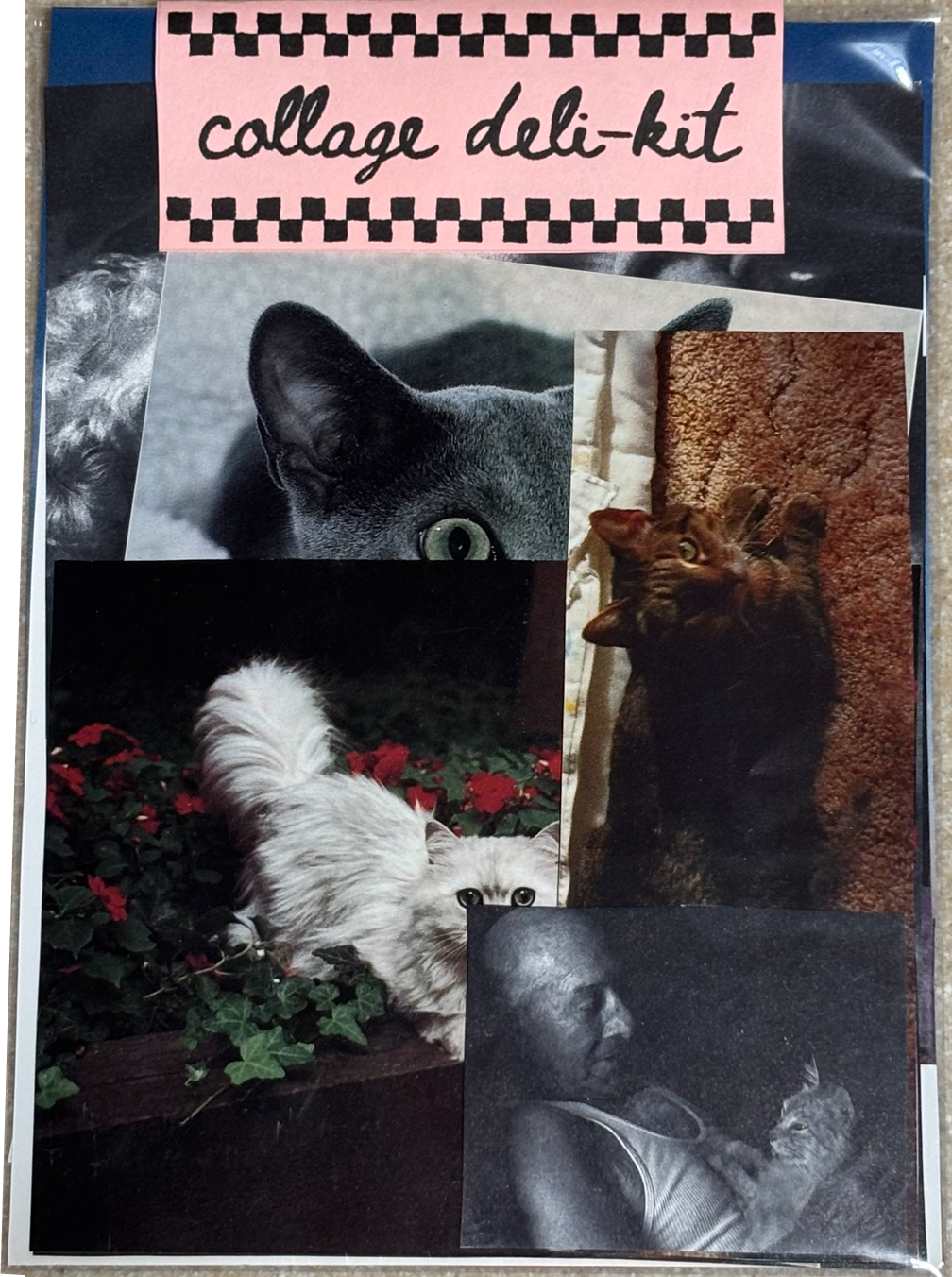 Collage Deli-Kit